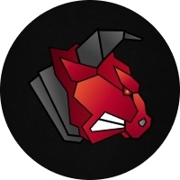 Team's logo