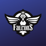 Team's logo